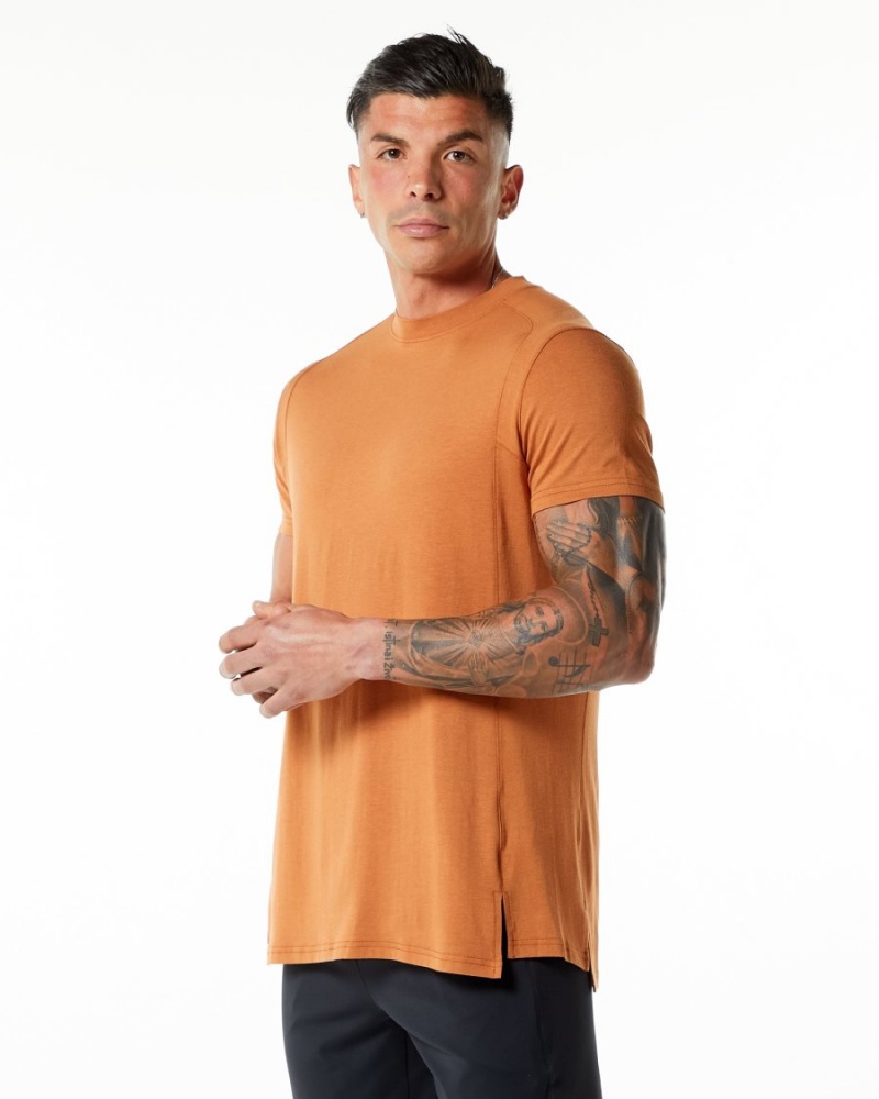 Alphalete Evo Tee Skjorte Herre Camel | XIGYCJ-374