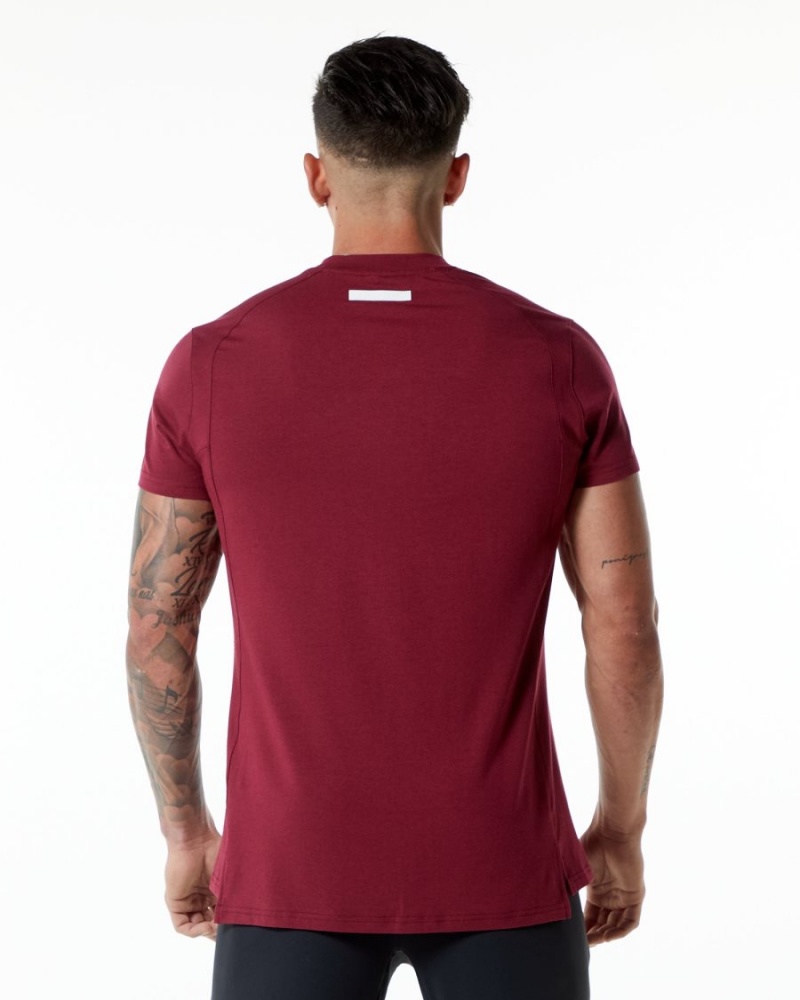 Alphalete Evo Tee Skjorte Herre Rød | GDANFB-408