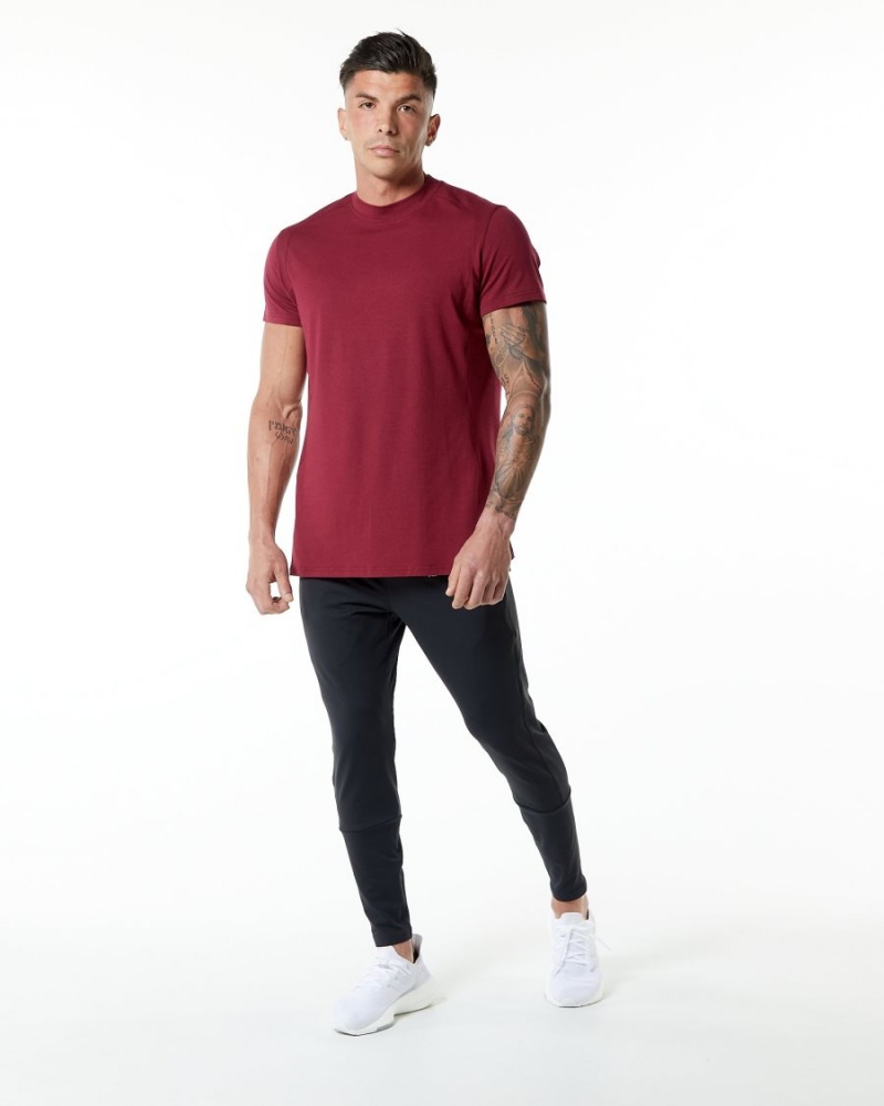 Alphalete Evo Tee Skjorte Herre Rød | GDANFB-408