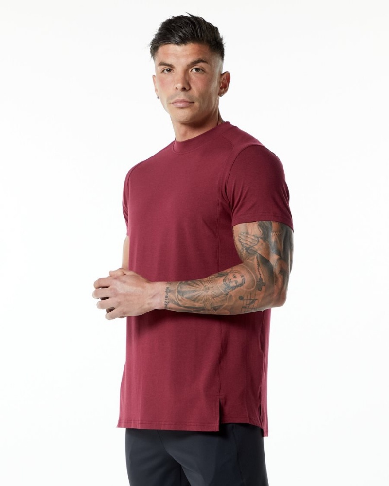 Alphalete Evo Tee Skjorte Herre Rød | GDANFB-408