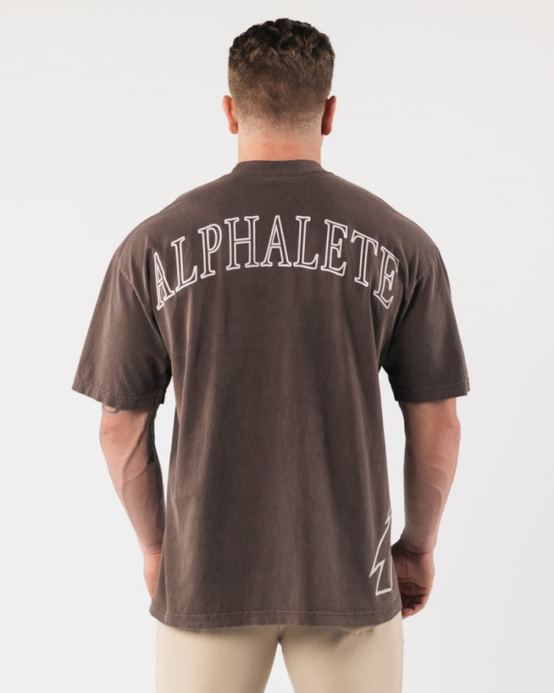 Alphalete Giant Wolf Head Tee Skjorte Herre Clove | WXMBFP-065