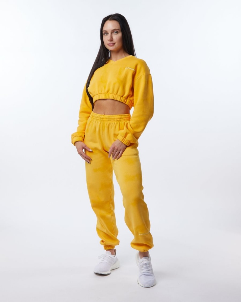 Alphalete HCTS Genser Jakker Dame Honey | CXFYBL-810