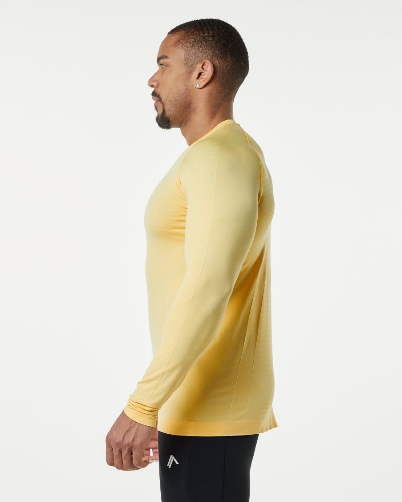 Alphalete Hero Long Sleeve Tee Skjorte Herre Faded Honey | MLPHEW-987