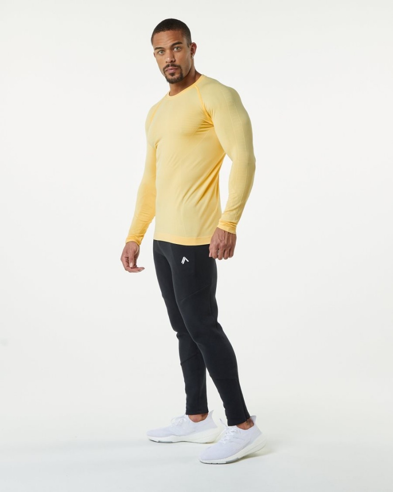 Alphalete Hero Long Sleeve Tee Skjorte Herre Faded Honey | MLPHEW-987