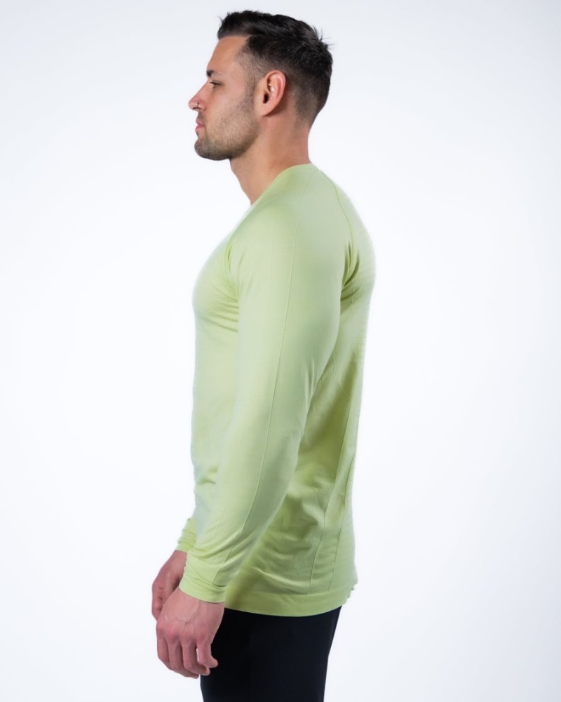 Alphalete Hero Long Sleeve Tee Skjorte Herre Frozen Spring | QRGSDU-701