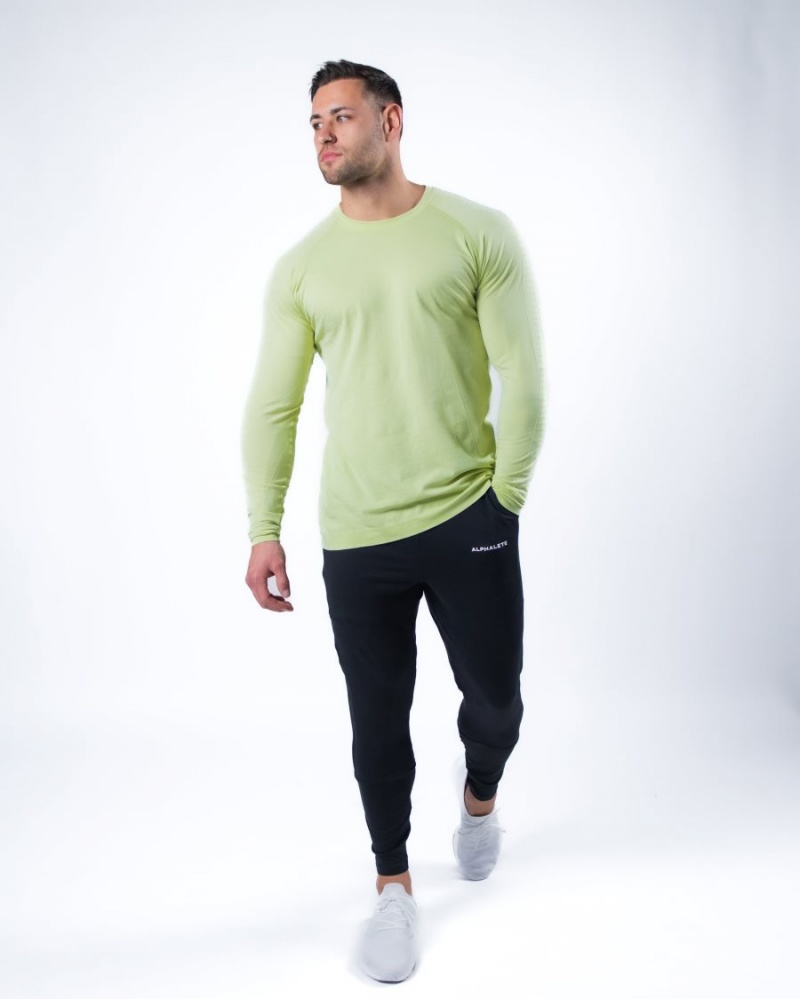 Alphalete Hero Long Sleeve Tee Skjorte Herre Frozen Spring | QRGSDU-701