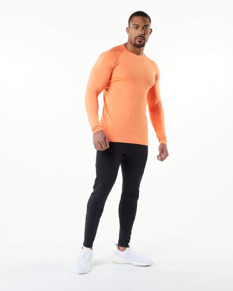 Alphalete Hero Long Sleeve Tee Skjorte Herre Faded Day Tripper | VQNFIA-234