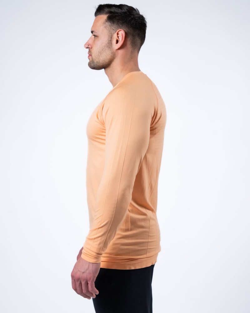 Alphalete Hero Long Sleeve Tee Skjorte Herre Korall | BUEFKY-418