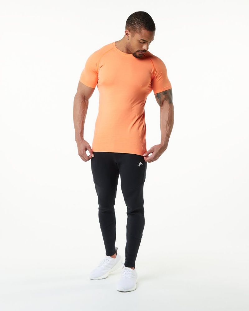 Alphalete Hero Tee Skjorte Herre Faded Day Tripper | ZRAJDV-509