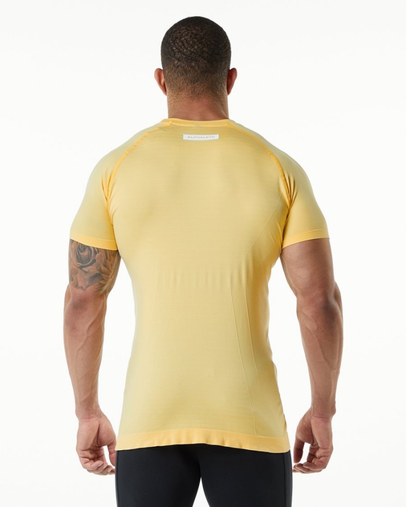 Alphalete Hero Tee Skjorte Herre Faded Honey | YEFOZD-903