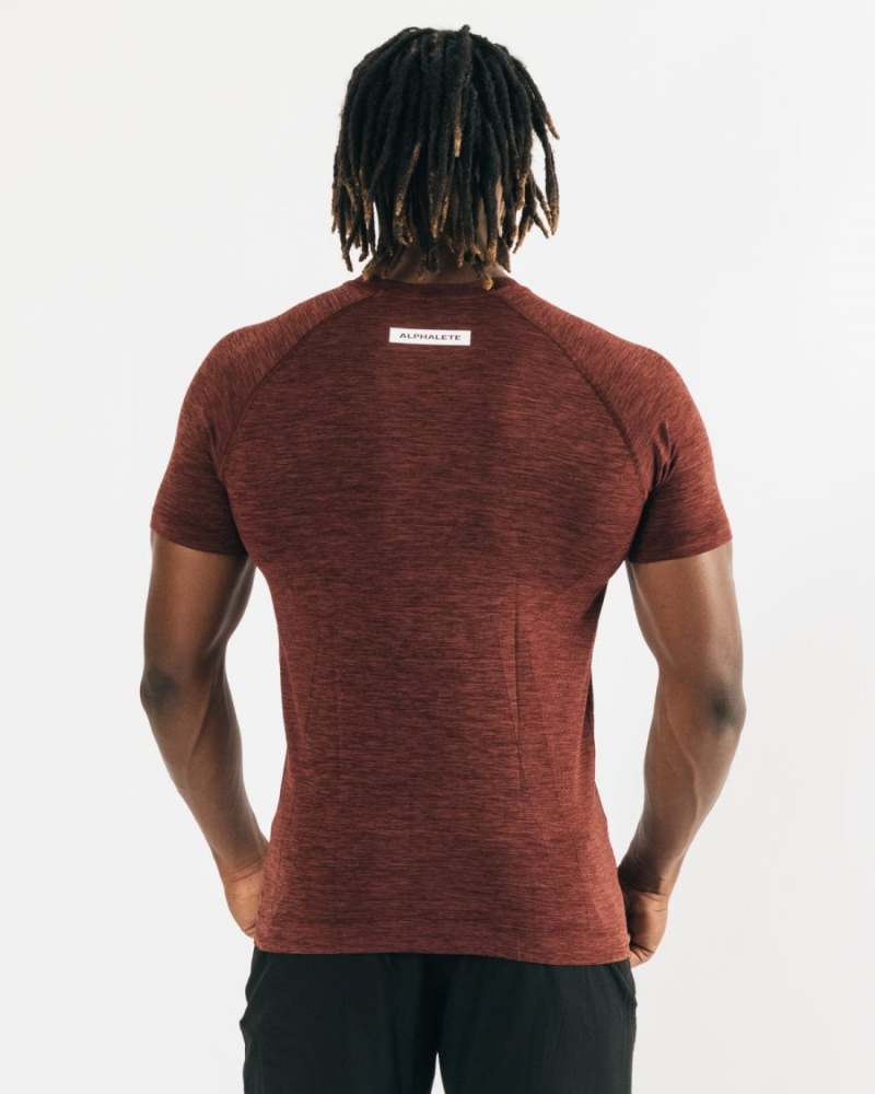 Alphalete Hero Tee Skjorte Herre Kopper | RPYNAX-872