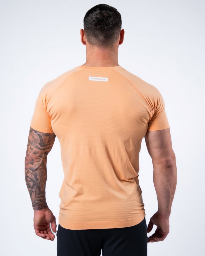 Alphalete Hero Tee Skjorte Herre Korall | WFBRGC-897