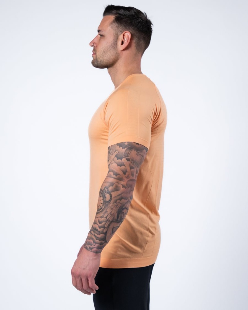 Alphalete Hero Tee Skjorte Herre Korall | WFBRGC-897