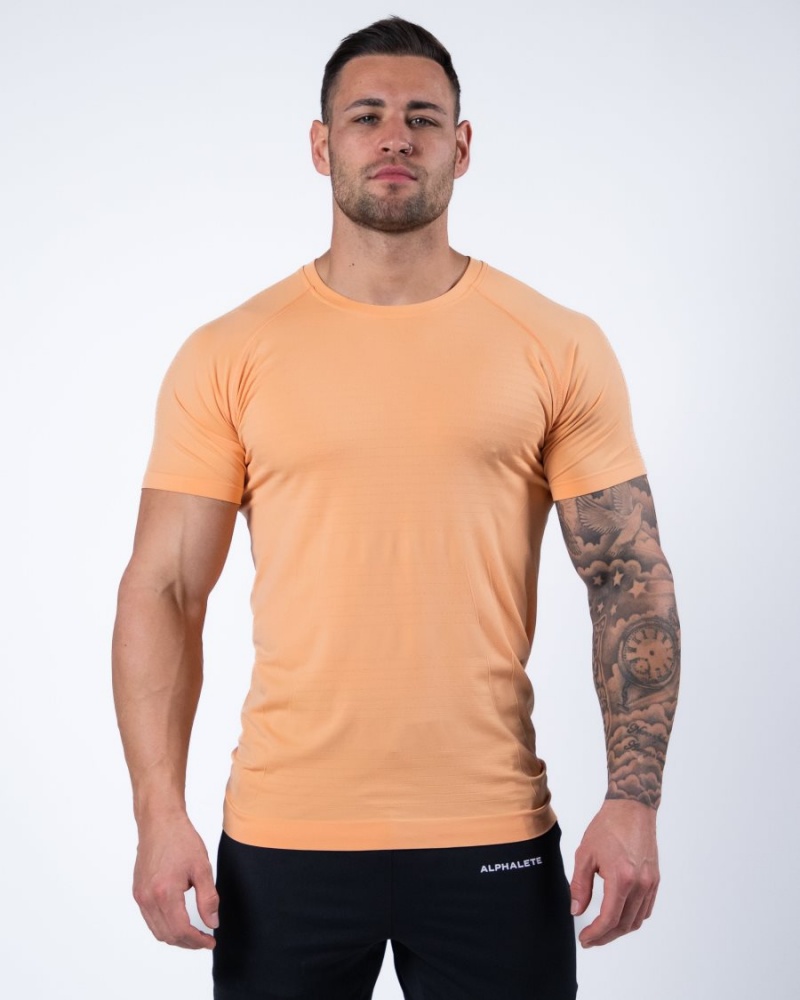 Alphalete Hero Tee Skjorte Herre Korall | WFBRGC-897