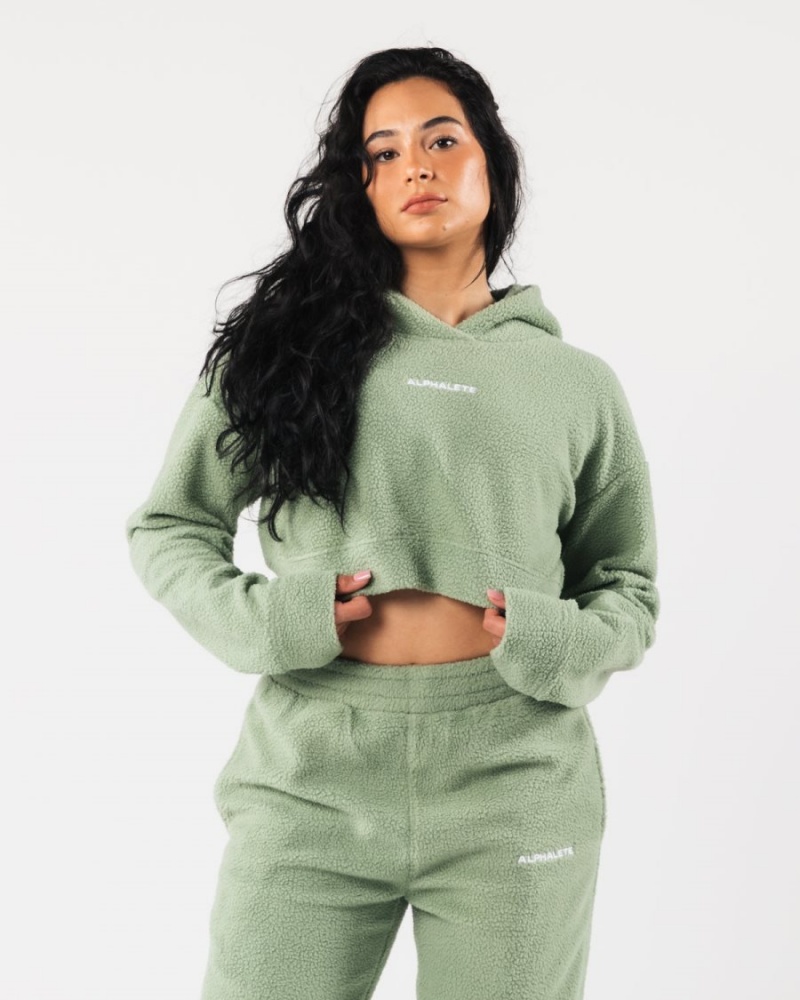 Alphalete King Crop Hoodie Hettegenser Dame Sage | XHKDRP-047