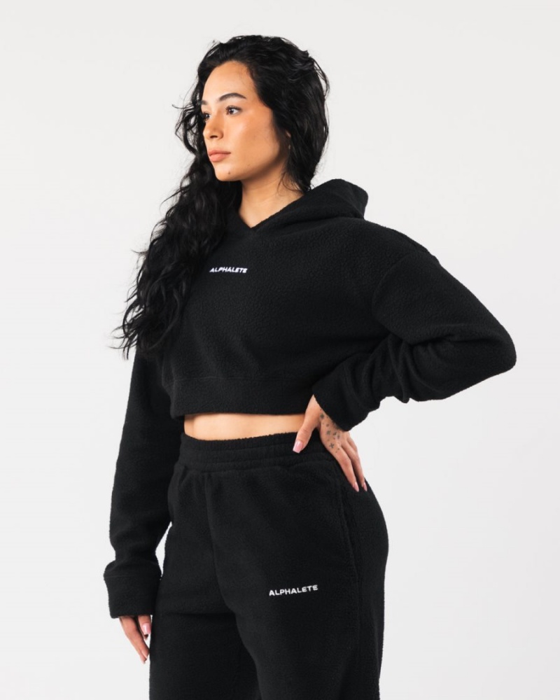 Alphalete King Crop Hoodie Hettegenser Dame Svarte | YQXRUB-279