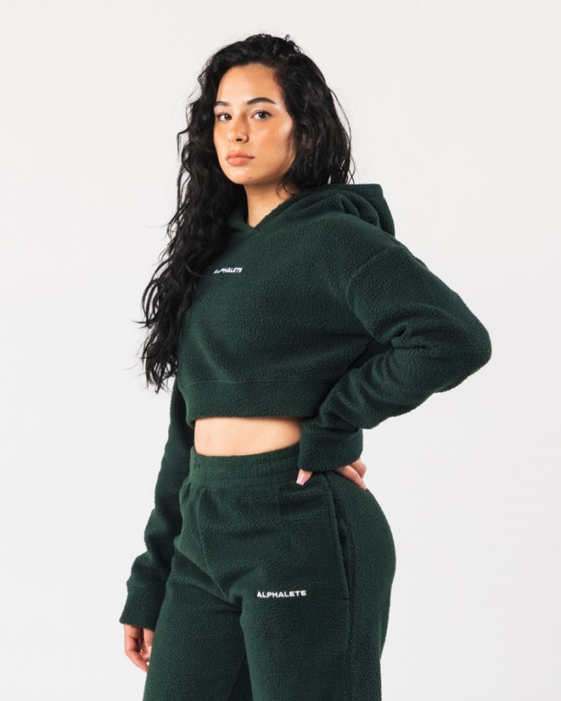 Alphalete King Crop Hoodie Hettegenser Dame Evergreen | JLUFQD-098