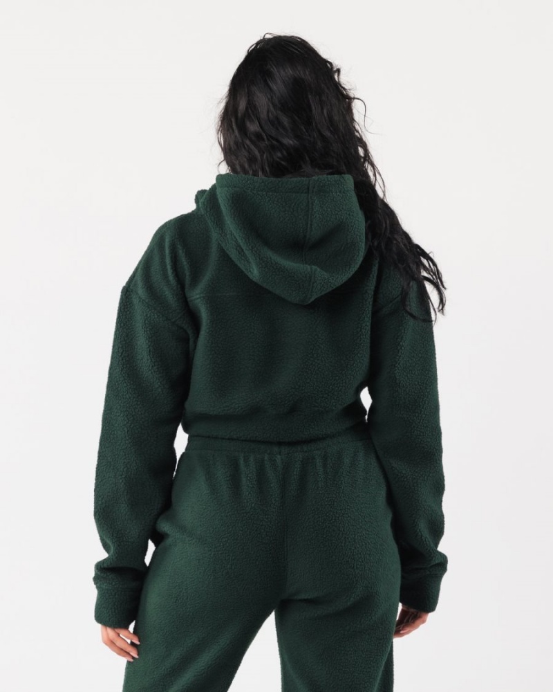 Alphalete King Crop Hoodie Hettegenser Dame Evergreen | JLUFQD-098