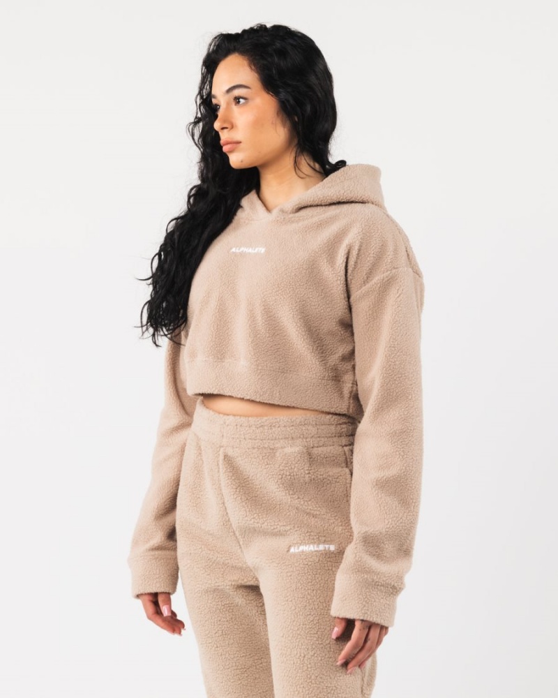 Alphalete King Crop Hoodie Hettegenser Dame Linen | CJUYQP-935