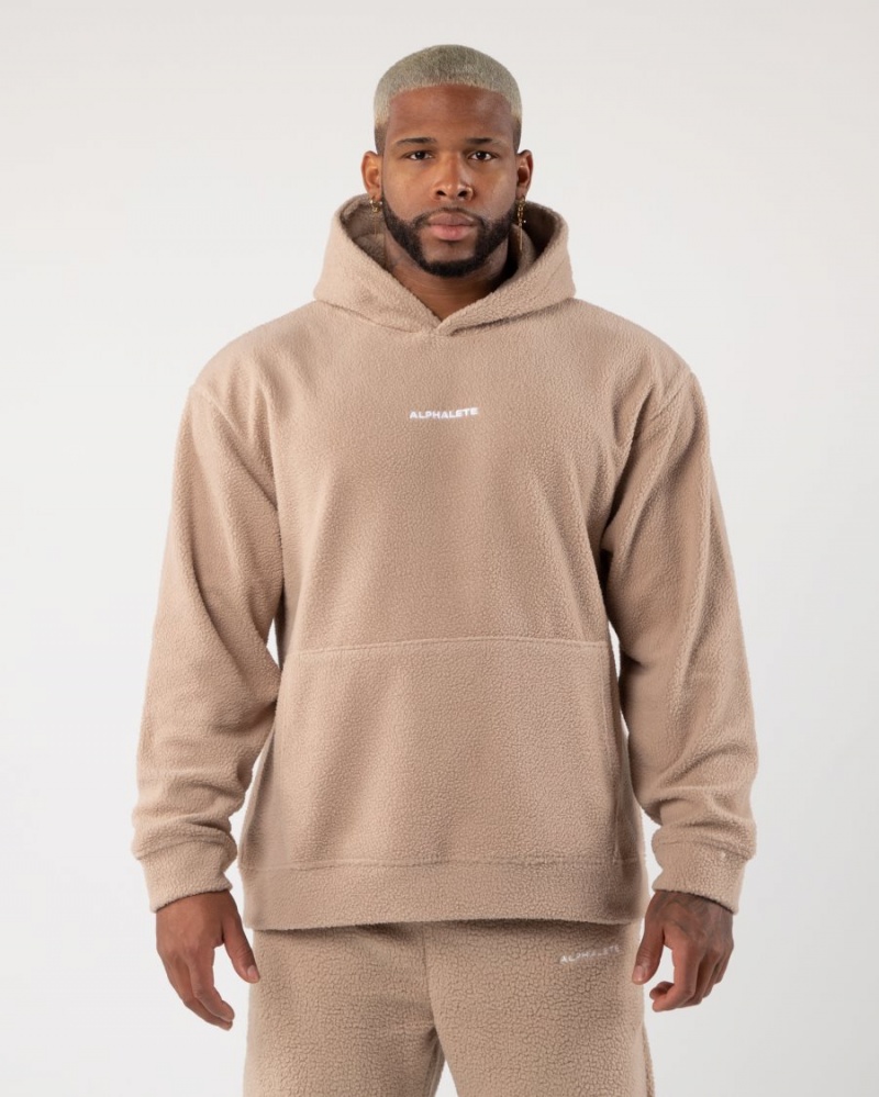 Alphalete King Hoodie Hettegenser Herre Linen | CTYRKP-093