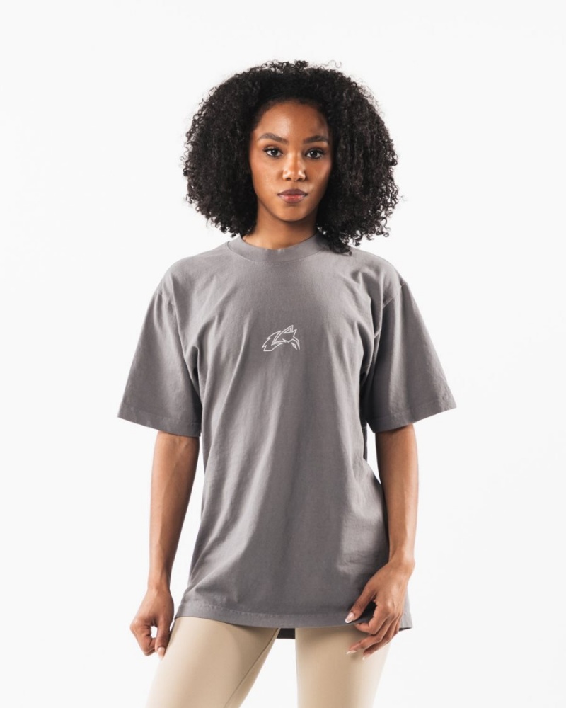 Alphalete LDB Outline Tee Skjorte Dame Charcoal | WKNPAG-319