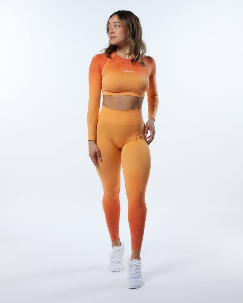 Alphalete Ombre Amplify LS Crop Langermet Dame Day Tripper | IEBZDU-240