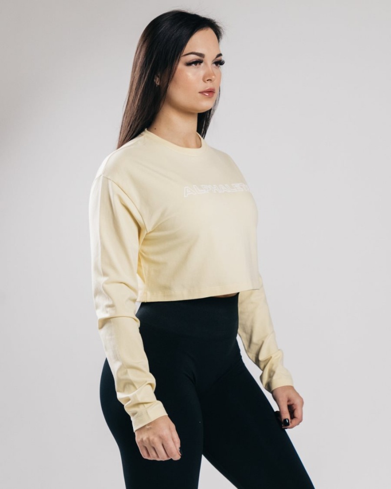 Alphalete Outlined Long Sleeve Crop Langermet Dame Sea Salt | MSHQBL-630