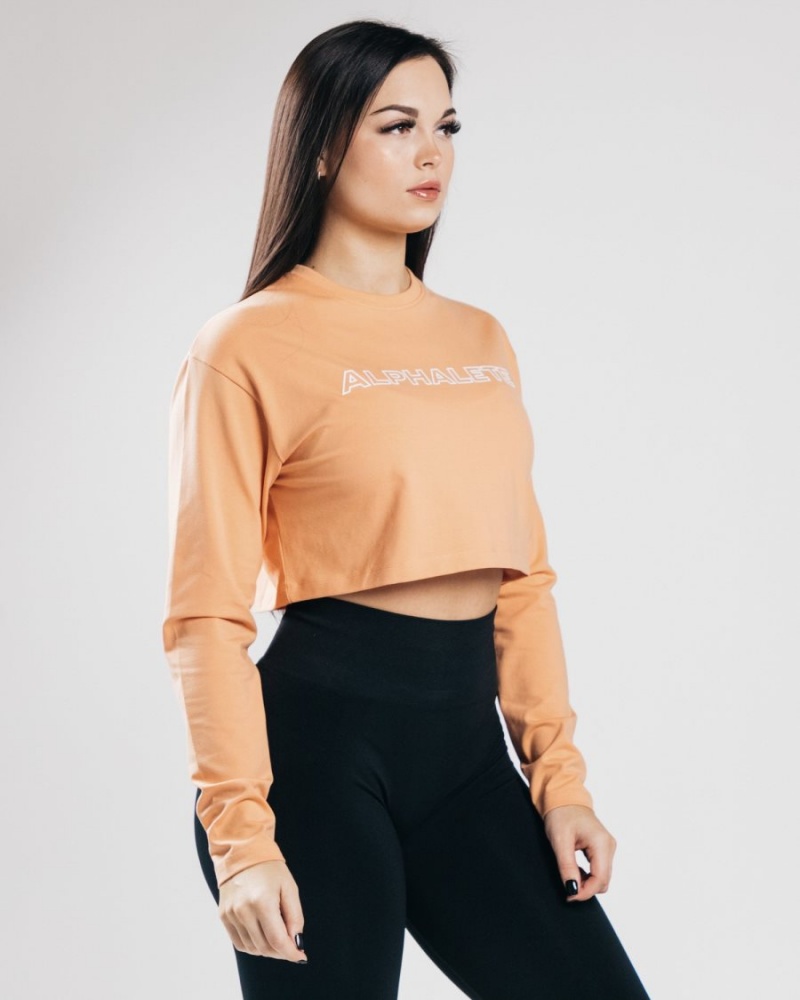 Alphalete Outlined Long Sleeve Crop Langermet Dame Oransje | BQRLJZ-659