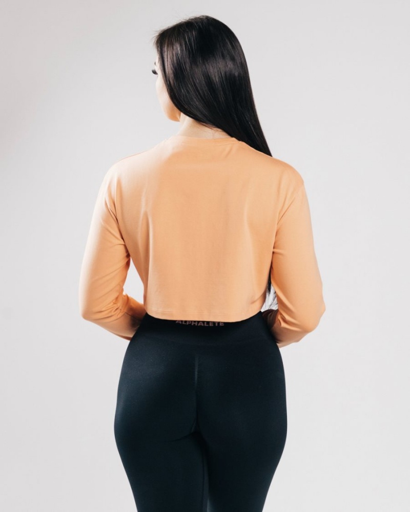 Alphalete Outlined Long Sleeve Crop Langermet Dame Oransje | BQRLJZ-659