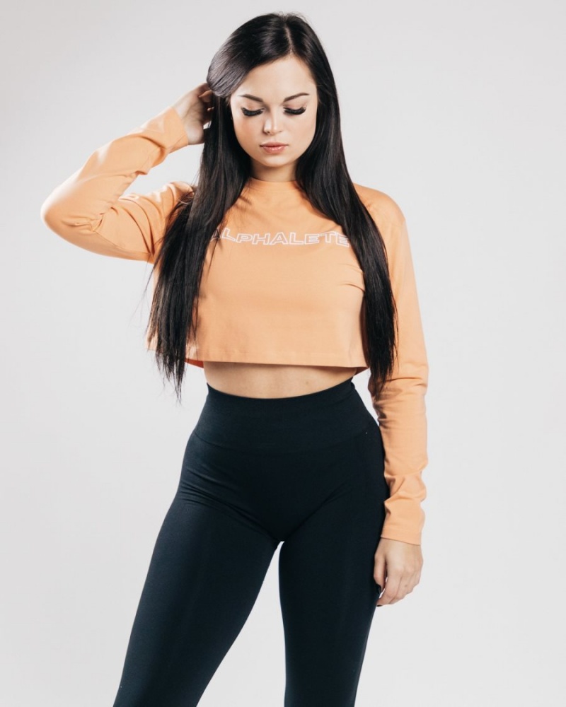 Alphalete Outlined Long Sleeve Crop Langermet Dame Oransje | BQRLJZ-659