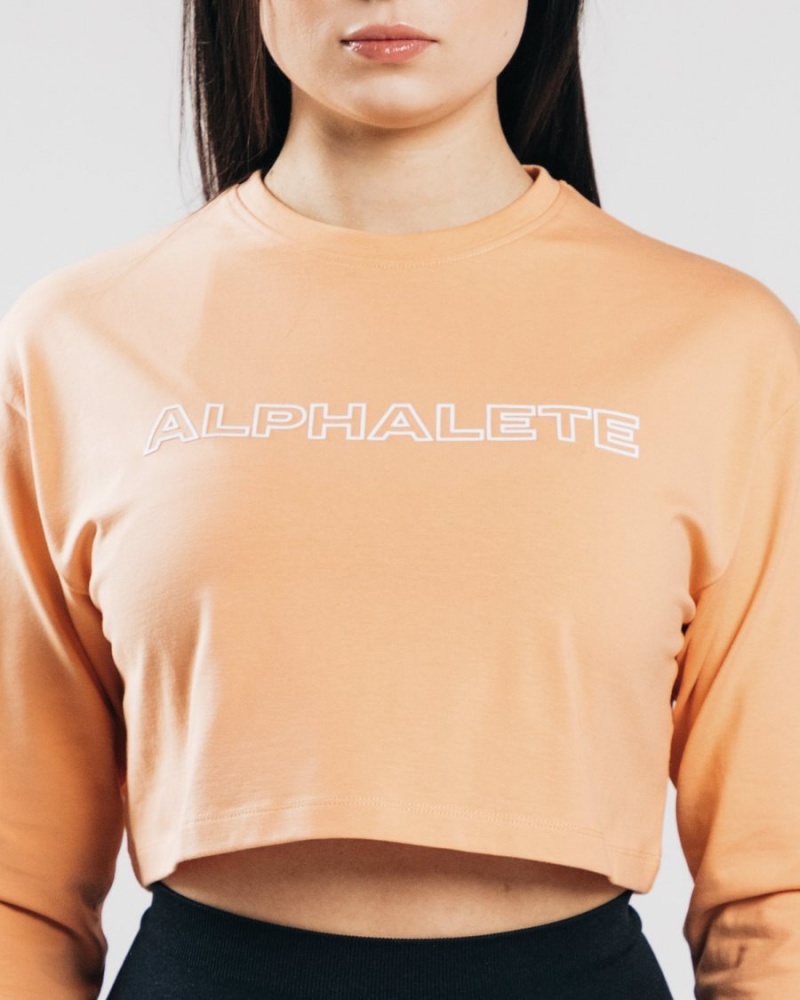 Alphalete Outlined Long Sleeve Crop Langermet Dame Oransje | BQRLJZ-659