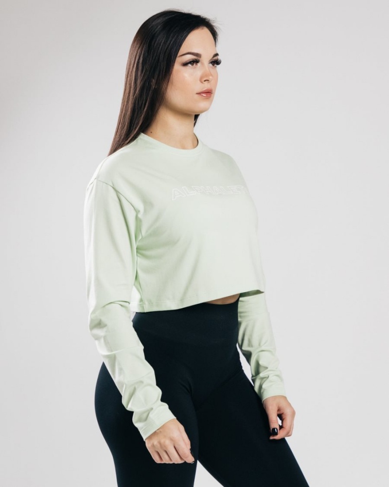 Alphalete Outlined Long Sleeve Crop Langermet Dame Frozen Spring | CHWIAK-250