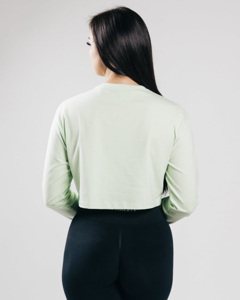 Alphalete Outlined Long Sleeve Crop Langermet Dame Frozen Spring | CHWIAK-250