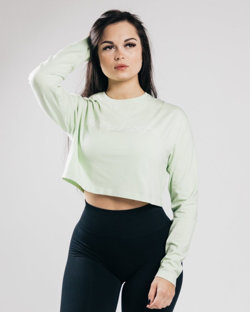 Alphalete Outlined Long Sleeve Crop Langermet Dame Frozen Spring | CHWIAK-250