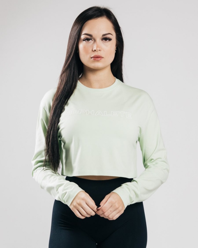 Alphalete Outlined Long Sleeve Crop Langermet Dame Frozen Spring | CHWIAK-250