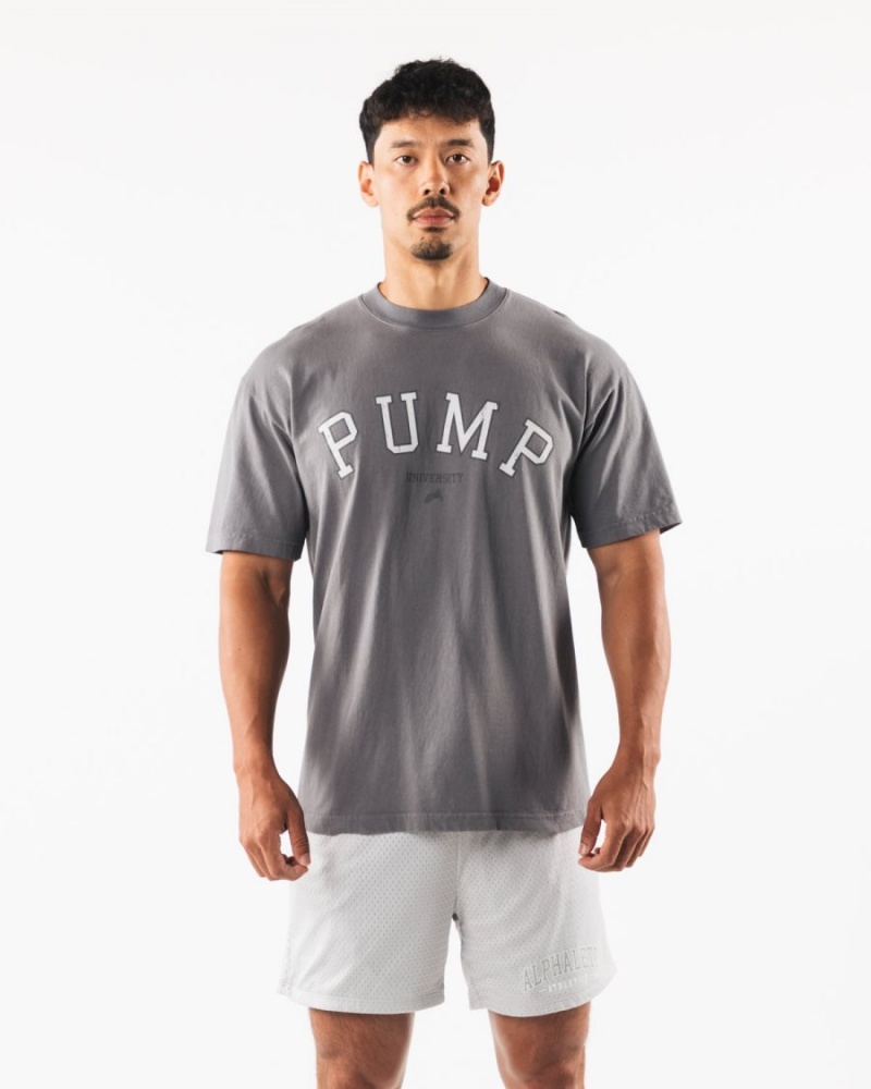 Alphalete Pump University Tee Skjorte Dame Charcoal | WNTODE-568