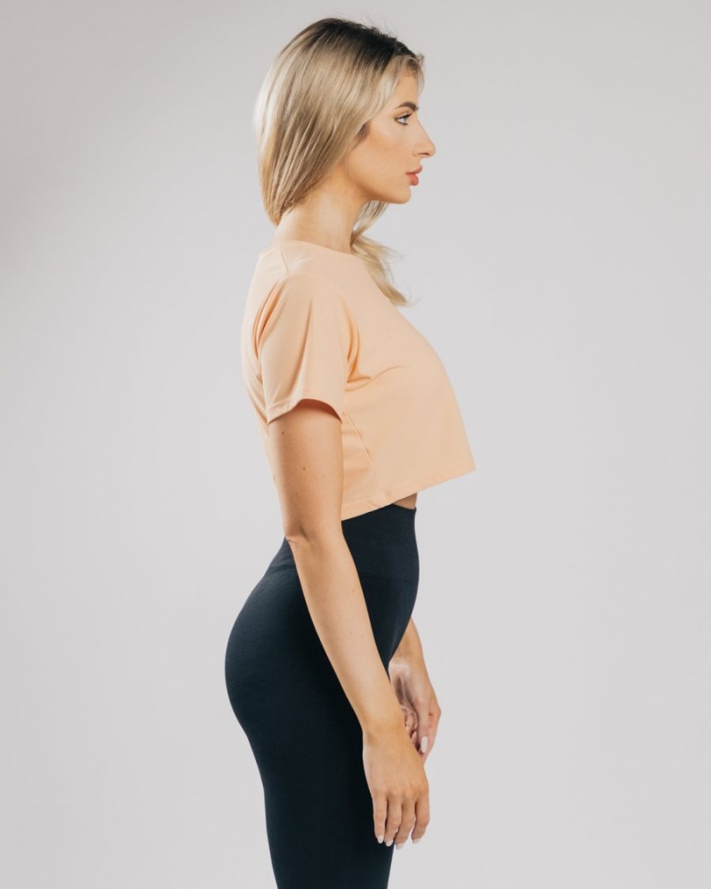 Alphalete Signature Mesh Crop Skjorte Dame Oransje | RUWFOK-738