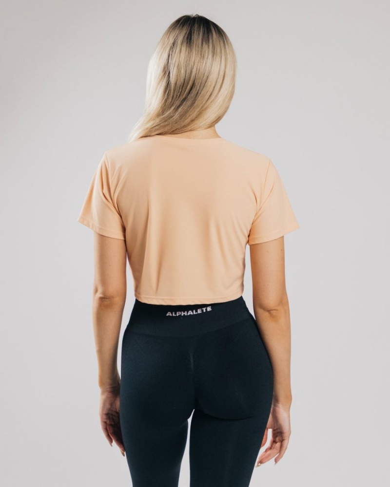 Alphalete Signature Mesh Crop Skjorte Dame Oransje | RUWFOK-738