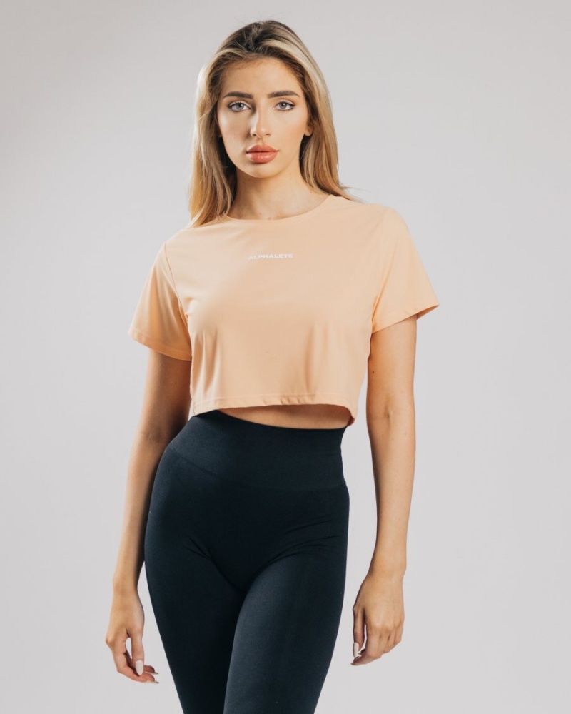 Alphalete Signature Mesh Crop Skjorte Dame Oransje | RUWFOK-738