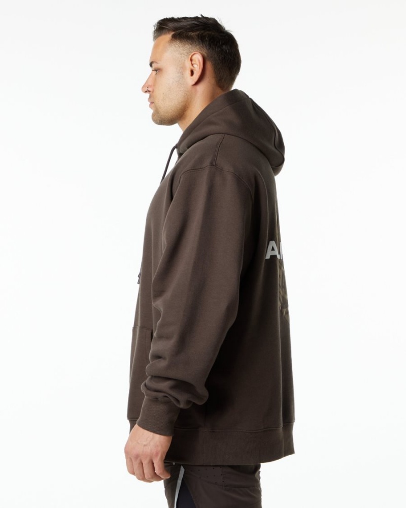 Alphalete Unity Hoodie Hettegenser Herre Brune | TILAQY-217