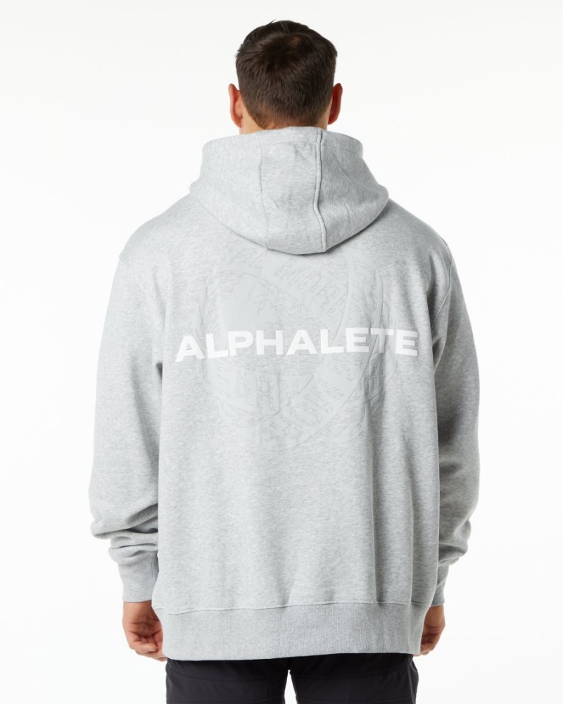 Alphalete Unity Hoodie Hettegenser Herre Grå | MBHLIJ-790