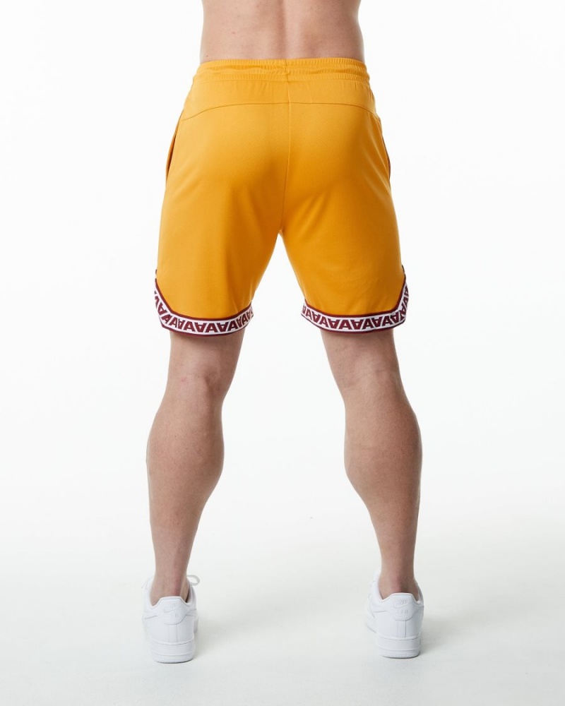 Alphalete Varsity Basketball Kort 9" Shorts Herre Marigold | IDZGFE-263