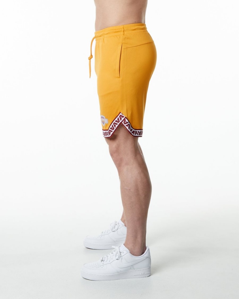 Alphalete Varsity Basketball Kort 9" Shorts Herre Marigold | IDZGFE-263