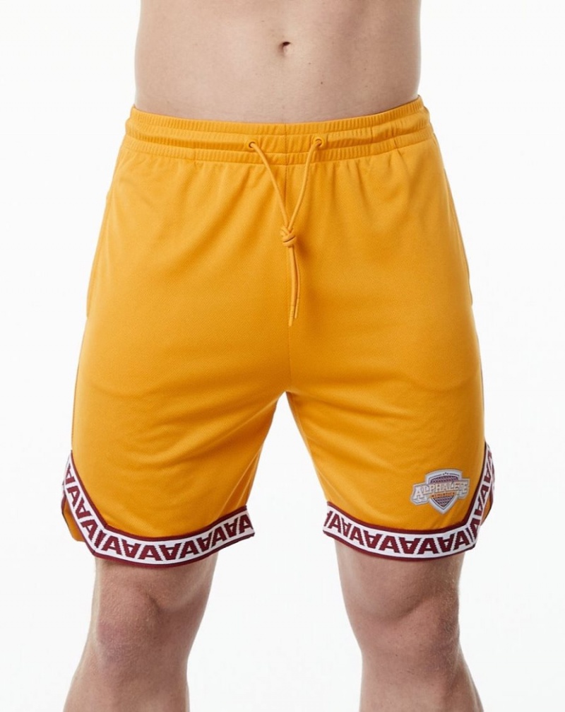 Alphalete Varsity Basketball Kort 9" Shorts Herre Marigold | IDZGFE-263