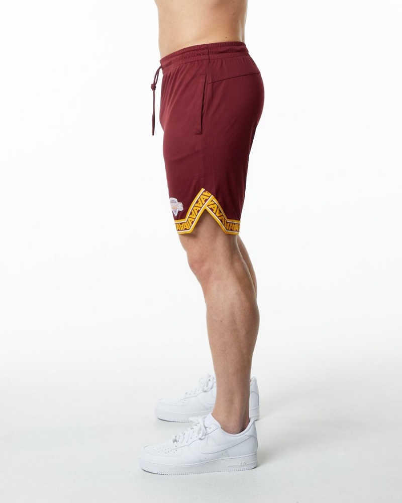 Alphalete Varsity Basketball Kort 9" Shorts Herre Crimson | YGLVJU-745