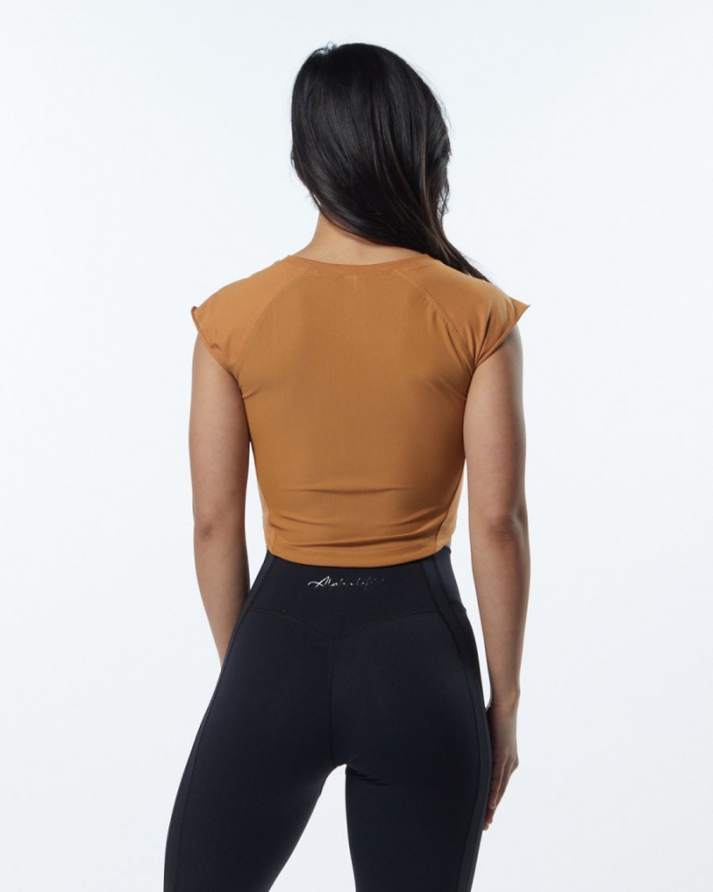 Alphalete Velocity Crop Tee Skjorte Dame Chestnut | XIVRDY-451