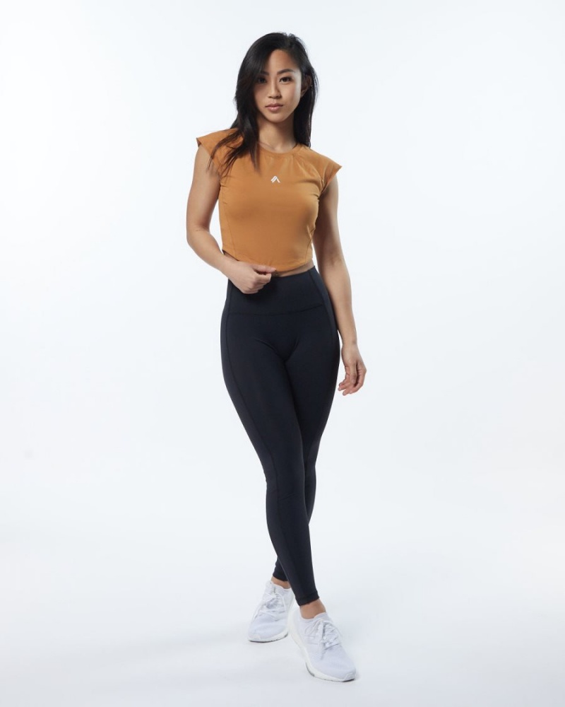 Alphalete Velocity Crop Tee Skjorte Dame Chestnut | XIVRDY-451