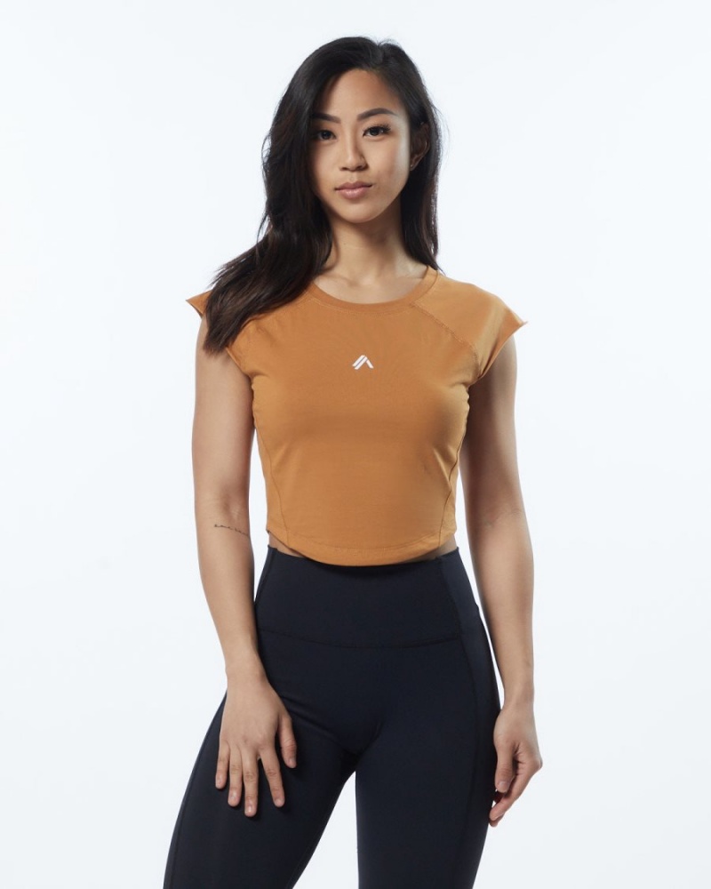 Alphalete Velocity Crop Tee Skjorte Dame Chestnut | XIVRDY-451