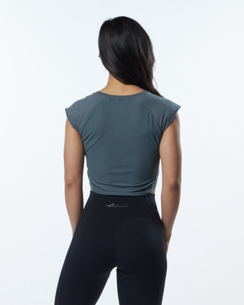 Alphalete Velocity Crop Tee Skjorte Dame Grå | DEOHRX-216