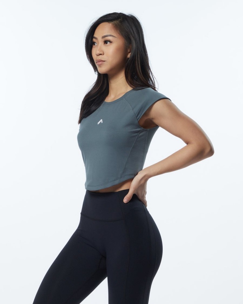 Alphalete Velocity Crop Tee Skjorte Dame Grå | DEOHRX-216